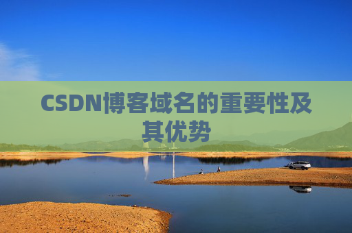 CSDN博客域名的重要性及其优势